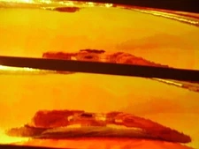 3" x 12" 2PK COHO KILLER ORANGE PLASMA UV GLOSS Fishing Lure Tape  FREE TAPE!