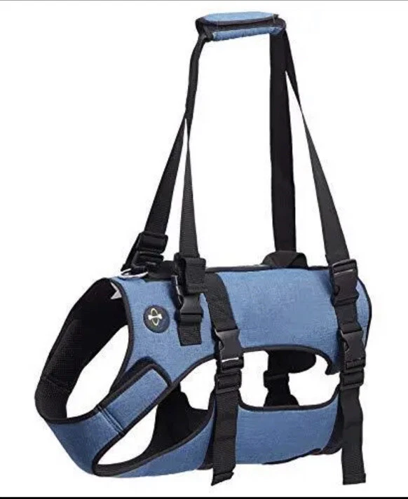 Coodeo hotsell dog harness