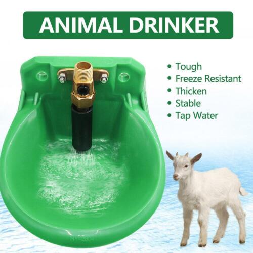Bauernhof Schafe automatische Wasserschüssel Kuh Pferd Vieh Farm Tier Trinker s n 6Y2E - Bild 1 von 12
