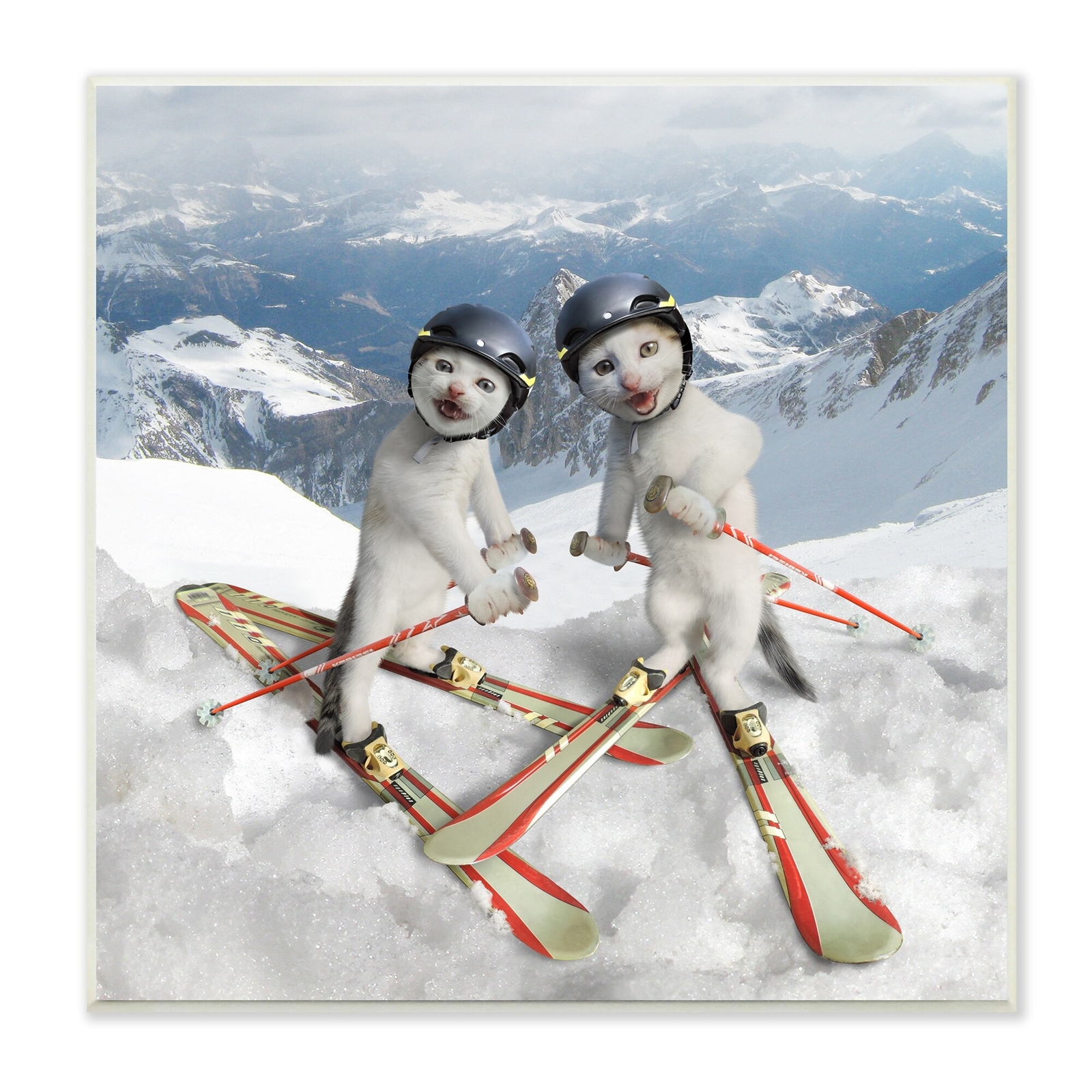 Stupell Funny White Cats in Ski Gear on Snowy Mountains