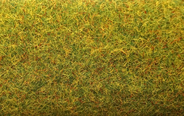 Noch Mini-Grasmatte 45 X 30 Cm – Realistische Modellbahn-Landschaftsgestaltung | Ideal Für Dioramen & Miniaturwelten