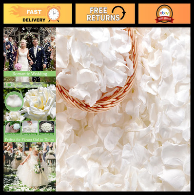500+ PCS Preserved White Rose Petals for Wedding, Baby Shower, Table Decor