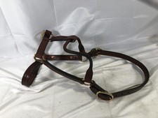 Leaders 3/4" Leather Halter for Horses Hardware Ruby Red Pep Engraved