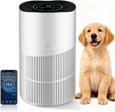 Luftreiniger für großes Schlafzimmer zu Hause, CADR 403M³/H, Alexa-fähig, HEPA-Filter mit