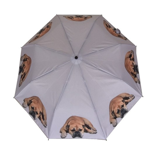 Paraguas Bulldog Inglés Perro Brolly Auto Abierto Con Bolsa, Plegado Para Quejar en Bolsa 604565286680 | eBay