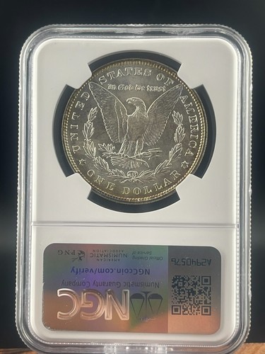 1887 Philadelphia Morgan Silver Dollar NGC MS 65 Gold Rim Toning - Picture 4 of 6