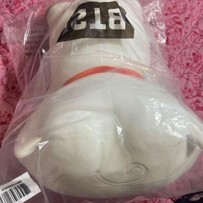 BT21 baby RJ super pillow cushion 26