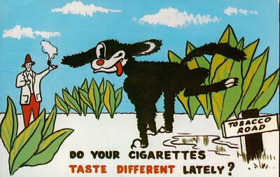 does your tobacco taste different lately Vintage Tobacco Road Cartoon Postcard Dog Do Your Cigarettes Taste  Differently