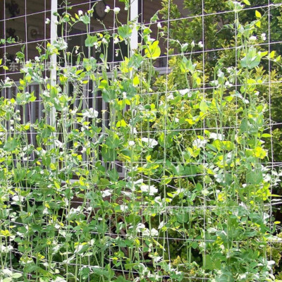 Nylon Rankgitter aus Gurke Gartennetz Kletternetz für große Pflanzen