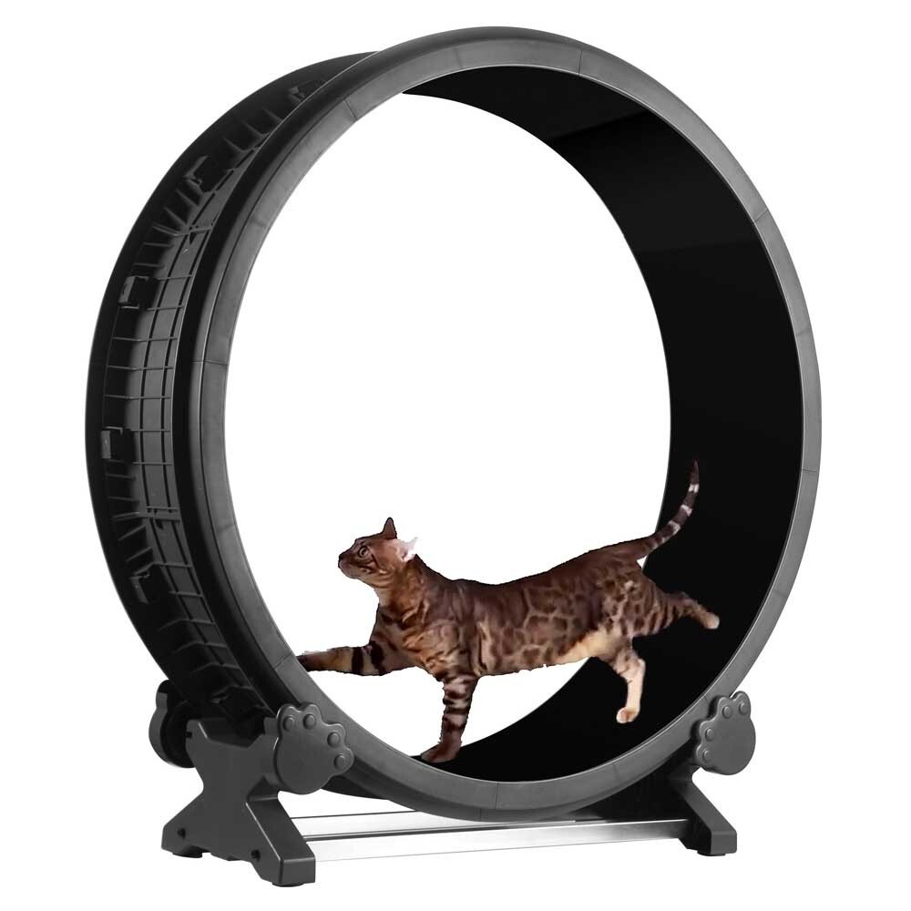 FELINE MOTION XL Cat Exercise Wheel / Cat Treadmill / Cat Running Wheel 7TH GEN