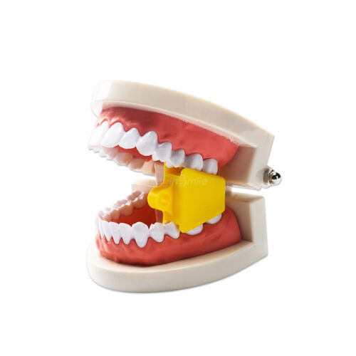 2pcs Child/Adult Dental Bite Block Rubber Mouth Props Opener Retractor Autoclave - Picture 8 of 13