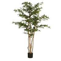 Mica Decorations Kunstpflanze Olivenbaum Im Blumentopf – H183 X Ø130 Cm – GrüN