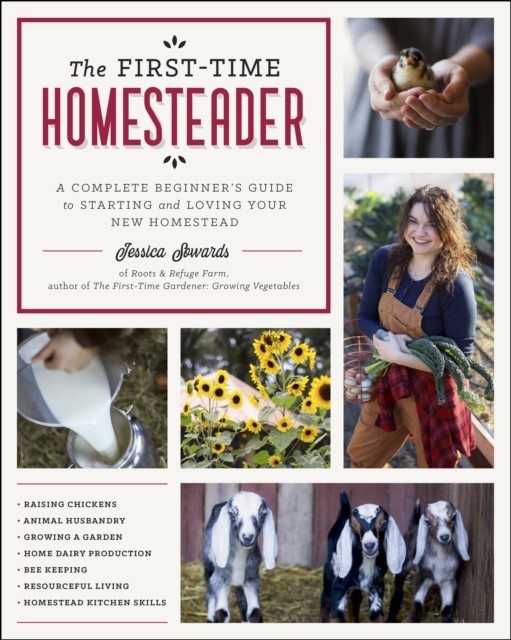 The First-Time Homesteader by Jessica Sowards (Paperback Book)