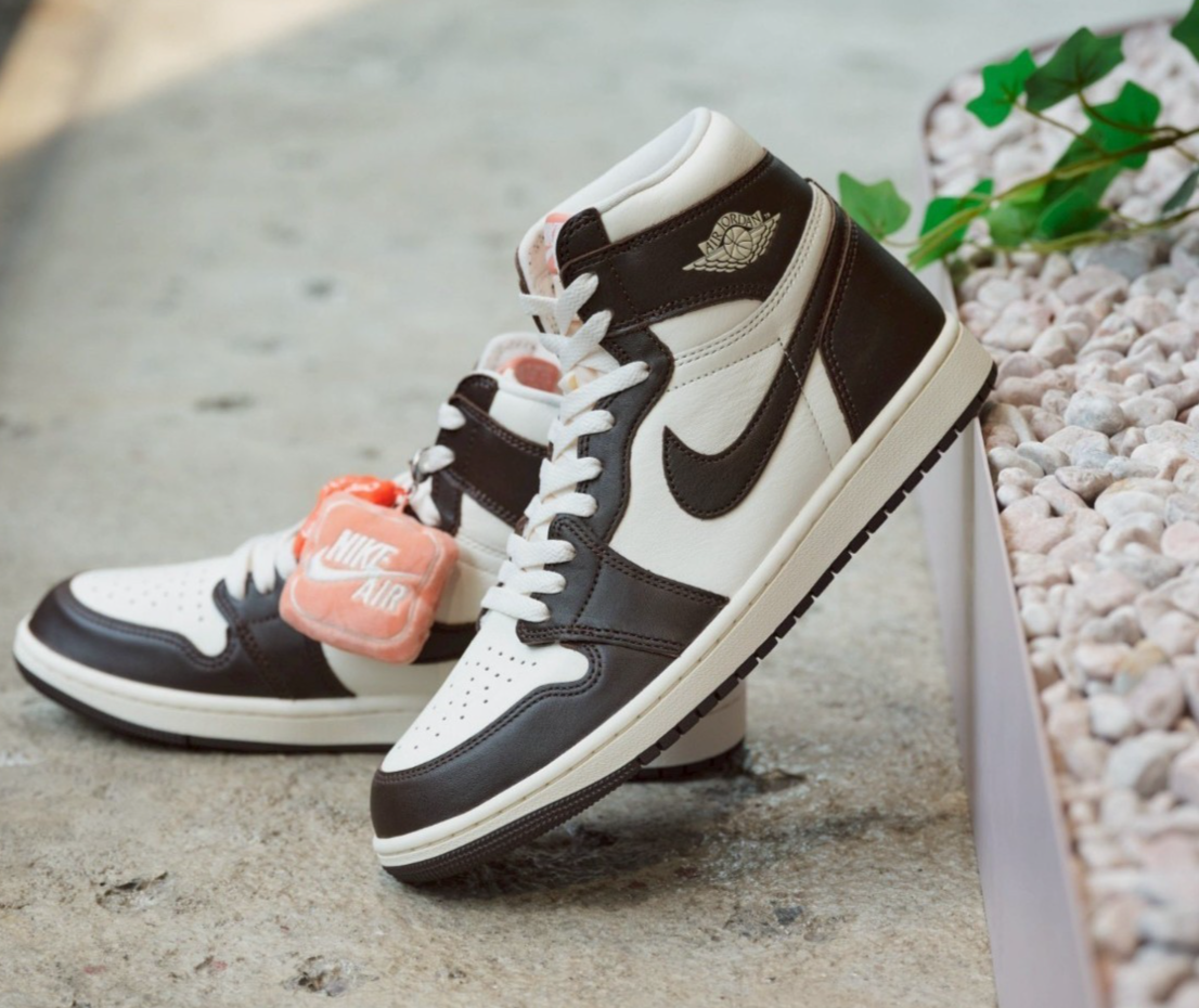 Nike Air Jordan 1 Retro High OG Light Madder Root FD2596-200