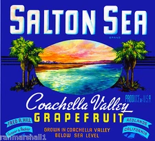 Redlands San Bernardino Salton Sea Grapefruit Citrus Fruit Crate Label Art Print