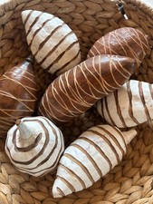 Baobab Frucht, Frucht, Trockenfrucht, Frucht Affenbrotbaum  / 12-17cm