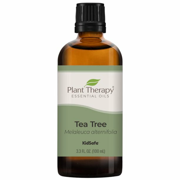 Plant Therapy Essential Oils Tea Tree 100 mL (3.3 fl oz) 100% Pure- Undiluted