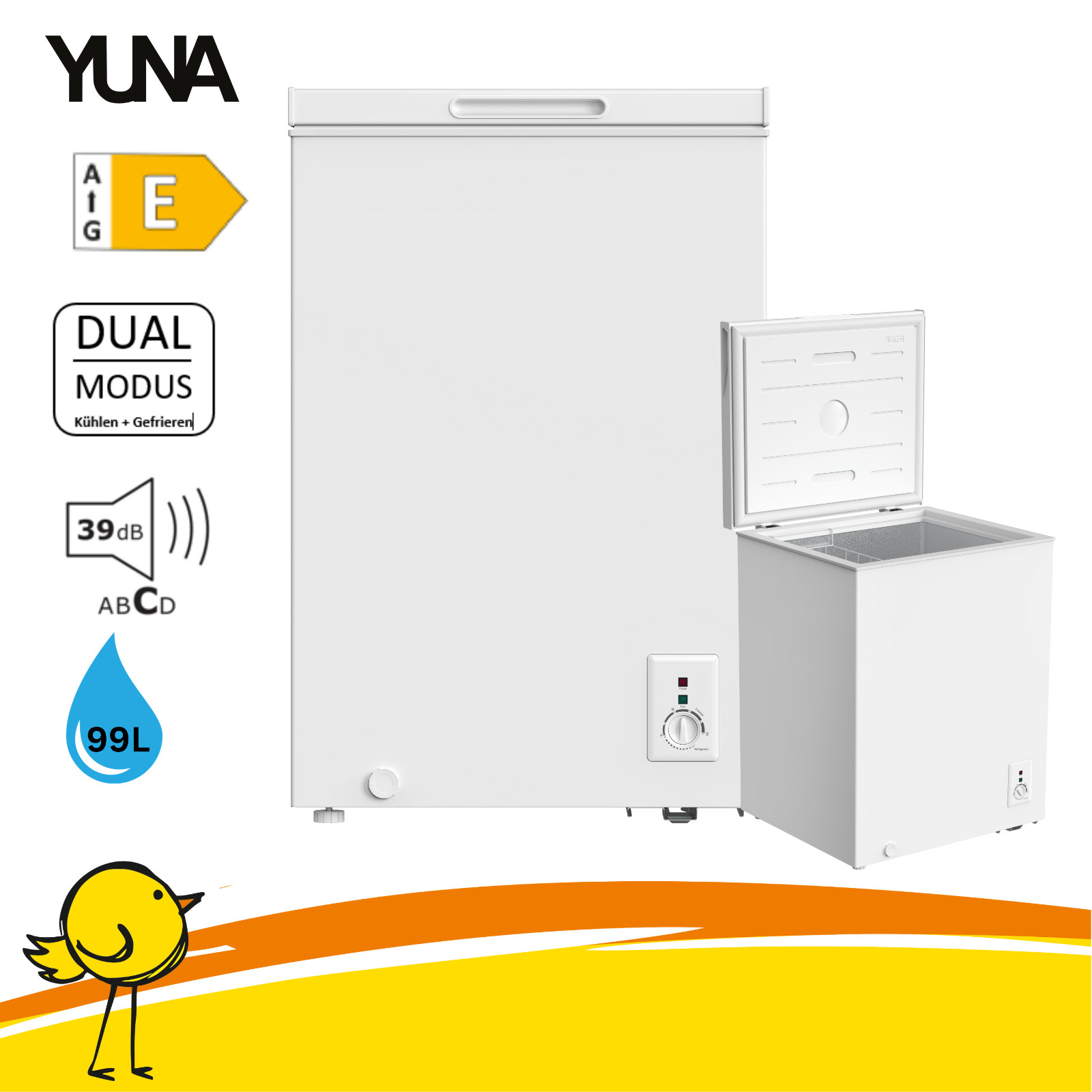 FROSTER 100E Kühltruhe Gefriertruhe, 99L, Kühlen, Gefrieren, E, Drahtkorb