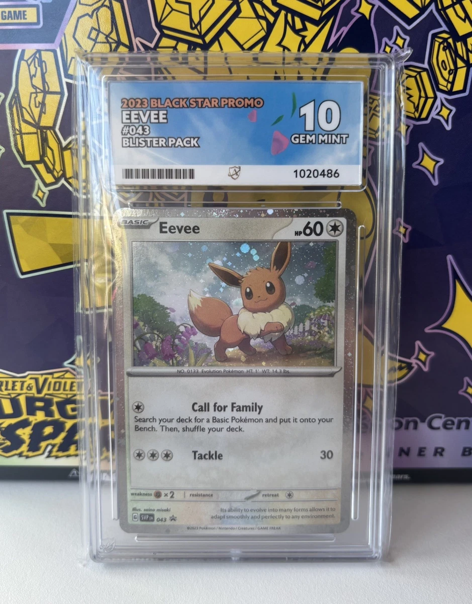 Eevee イーブイ　海外限定　Gem Mint 10 プロモカード Pokémon TCG Grade 10 Eevee Individual Collectible Card Game Cards