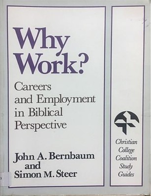 Why Work: Careers and Employment in..., Steer, Simon M.