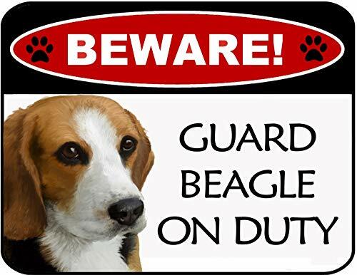 beagle guard dog