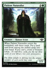 Patient Naturalist (foil) Outlaws of Thunder Junction MTG - NM+ *Mythic Relics*