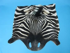 Burchell Zebra Face (19-22-G01) L26