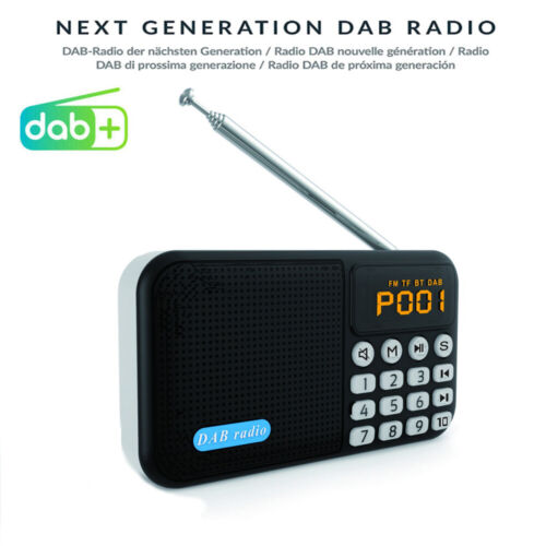 Portable Digital Radio DAB / DAB+FM With Rechargeable Battery Bluetooth Speaker - Foto 1 di 8