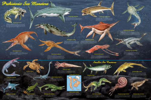 Affiche de carte éducative des monstres marins préhistoriques 36 x 24 LIVRAISON GRATUITE - Photo 1 sur 1