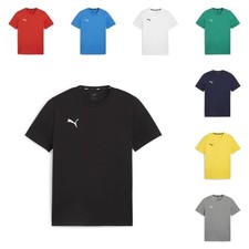 Puma teamGOAL Casuals T-Shirt