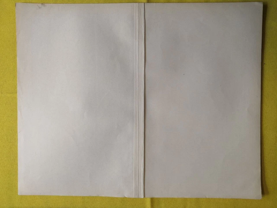 Mapa geográfico vintage de Europa oriental soviética de 1899 Rusia original soviético C11-9 Foto 3 de 3