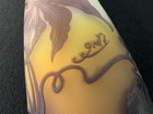 Foto 6 di 7