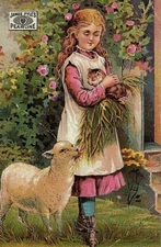 James Pyle's Pearline Young Lady Lamb & Cat Victorian Trade Card New York