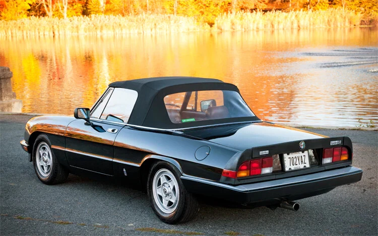 VOGTLAND RESORTES DE BAJADA HECHOS EN ALEMANIA ALFA ROMEO SPIDER & DUETTO 66 a 94 Foto 3 de 4