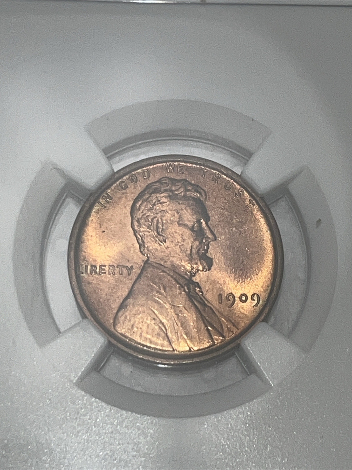 Picture 4 of 4