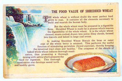Shredded Wheat Niagara Falls Advertising Antique Advertising Trade Card