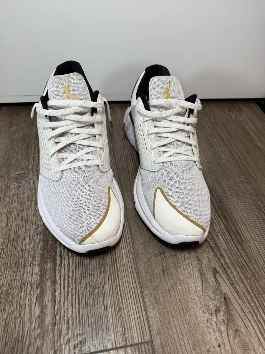 Jordan Trainer ST Premium White Gold for Sale | Authenticity
