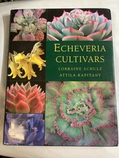 Echeveria Cultivars Lorraine Schulz VG