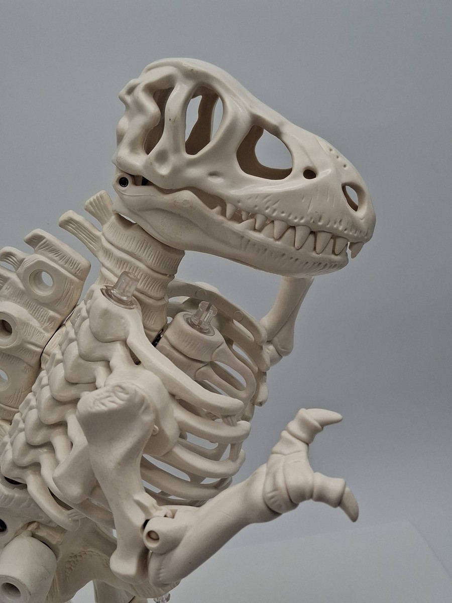 Tレックス　ボーンエイジ　ケナー　Bone Age kenner T-REX Vintage Kenner Bone Age T-Rex 💥 | eBay