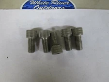1/2-13 x 1"Socket Head Cap Screws Allen Hex Drive Stainless Steel Bolts lot of 5