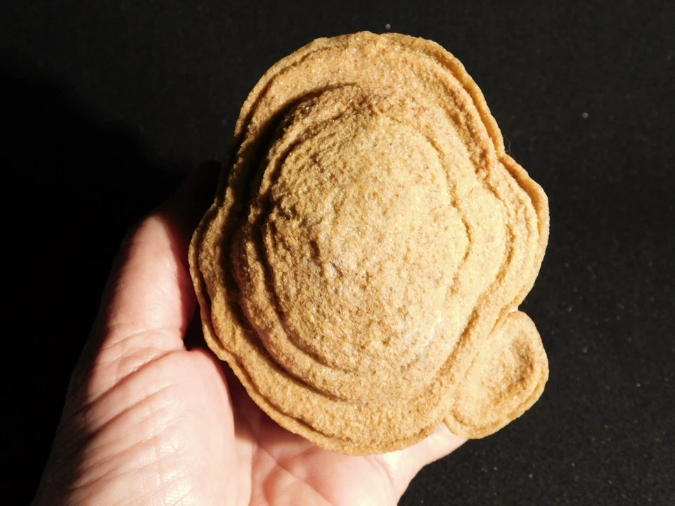 ¡Grande! FÓSIL DE ESTROMATOLITO AAA 600 millones de años 100% natural Marruecos 893gr Foto 4 de 4