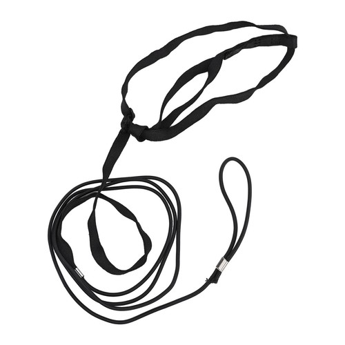 Parrot Bird Harness Leash Adjustable Training Rope Flying Traction Straps Band - Picture 19 of 41