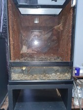 Exo Terra Dart Frogs and Co Terrarium