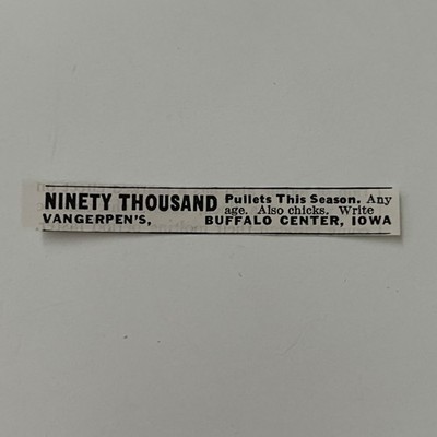 Vangerpen's Ninety Thousand Pullets Buffalo Center IA 1939 Ad SAH7-S9