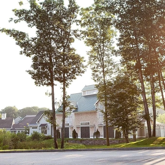 Stonewall Kitchen USDA Orgánico Wild Maine Arándano Fruta Untable, 30 Onzas Foto 4 de 4