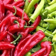 25 NEW MEXICO SANDIA PEPPER SEEDS ~ heirloomseedguy ~ 2026 ~ NON-GMO