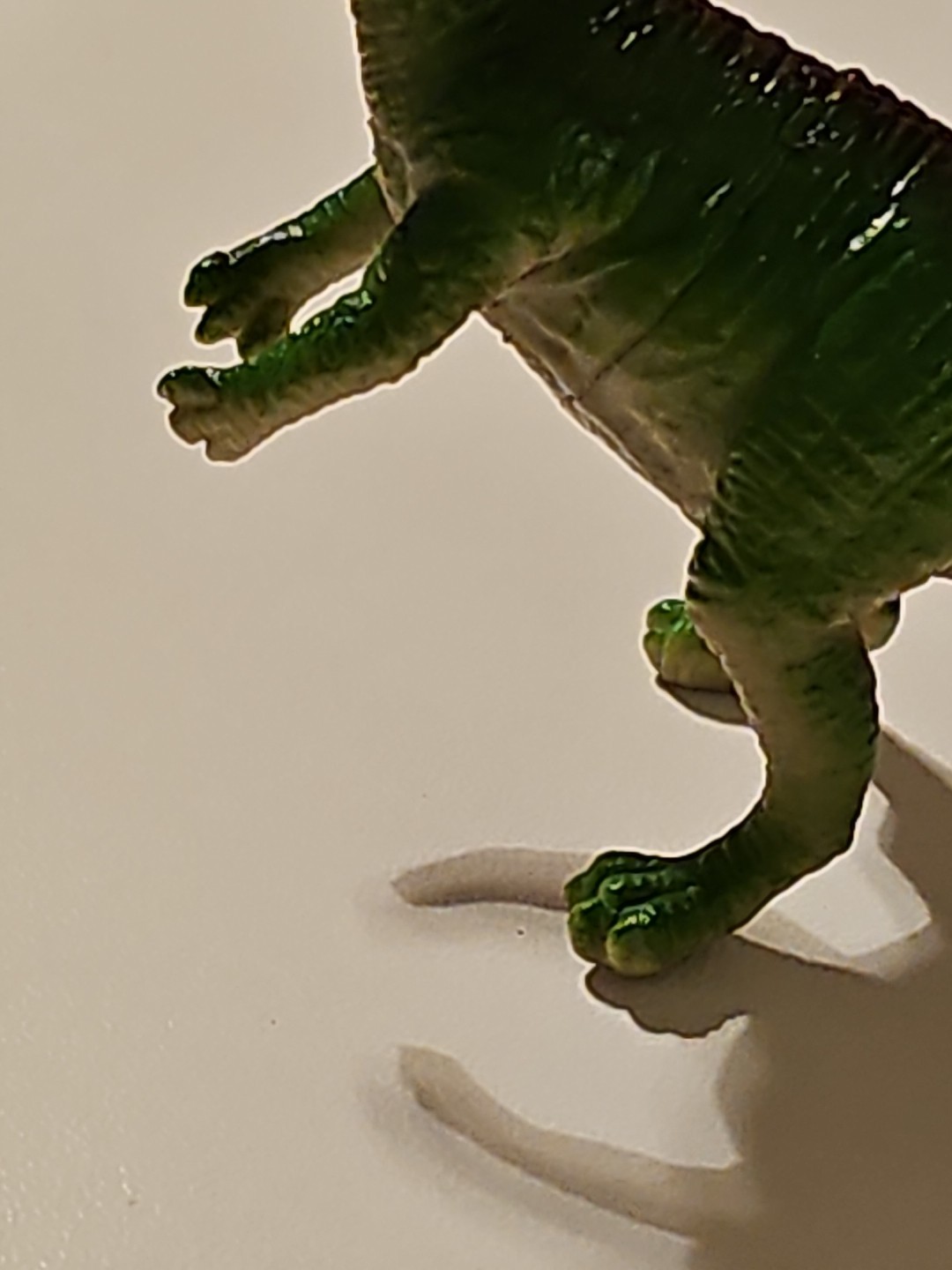 Picture 6 of 10