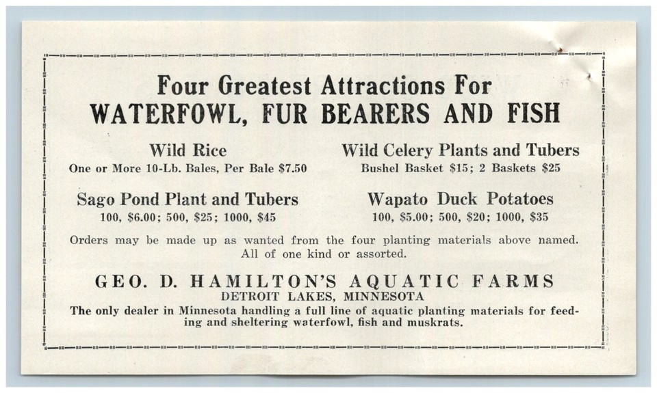 1920s NOS LOT Geo Hamilton Aquatic Farm Duck Hunt Detroit Lakes MN