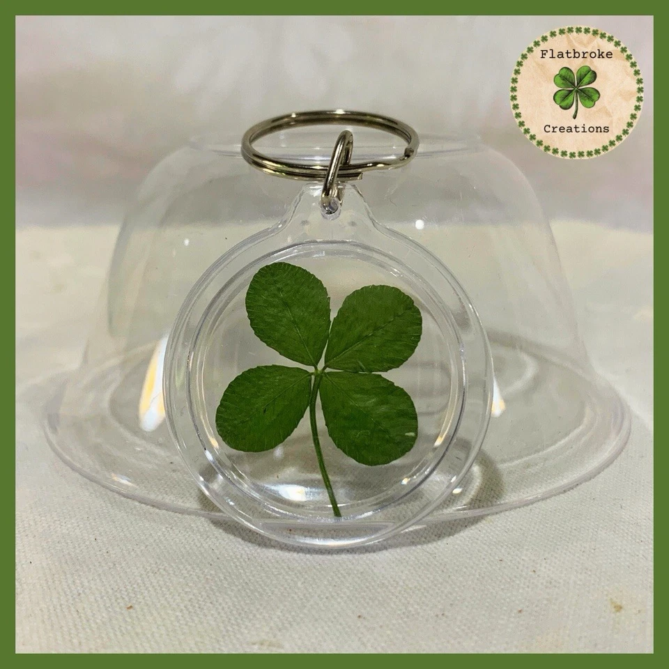 Llavero con dije de buena suerte con un trébol de trébol de cuatro hojas real Foto 4 de 4