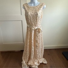 Elegant Sequin Lace Evening Dress in Champagne 4
